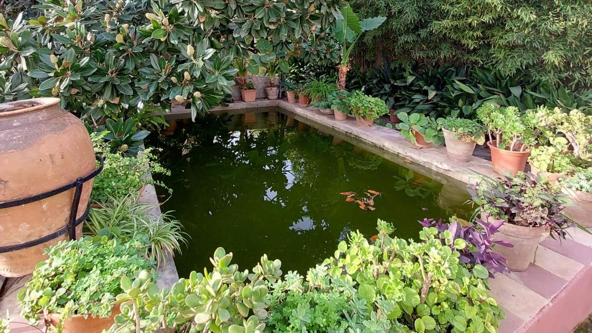 El jardín-huerto Villa María.