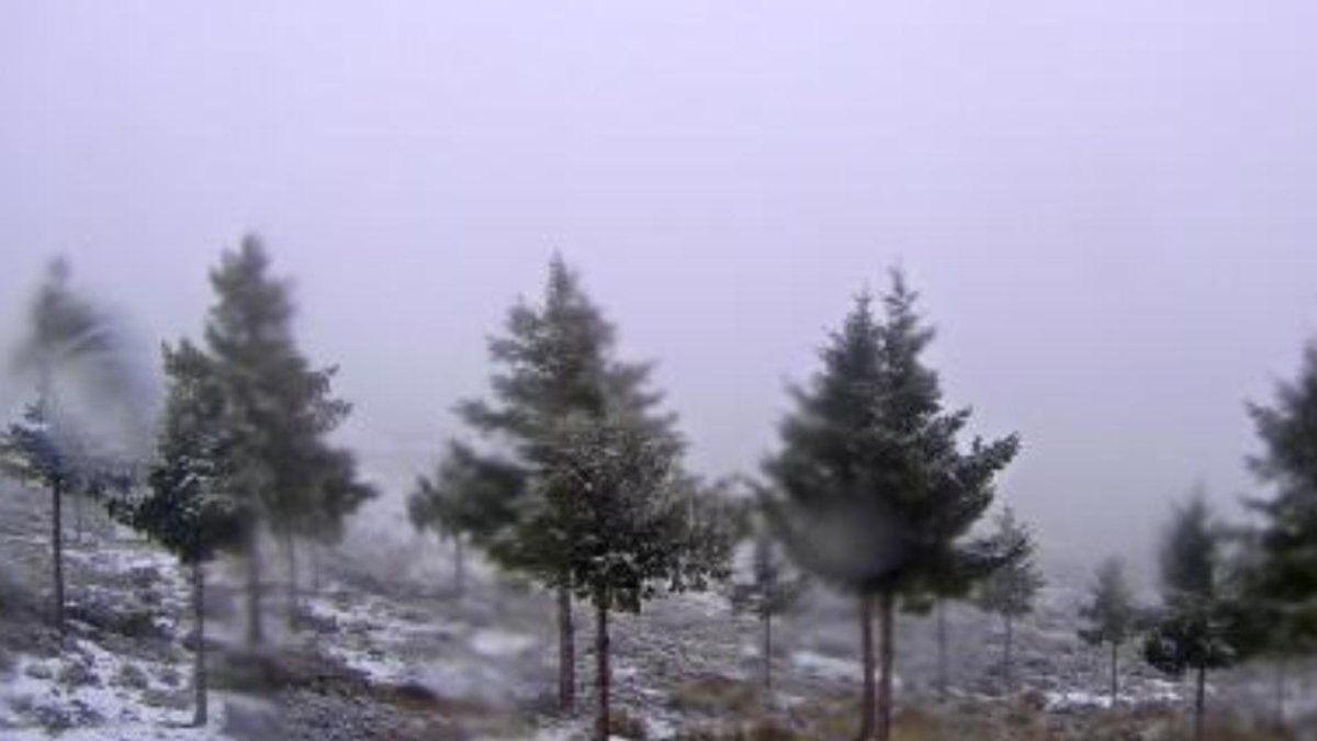El entorno de Calar Alto con nieve recogido por las cámaras del observatorio.