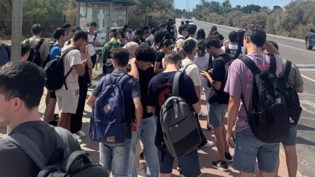 Estudiantes universitarios.