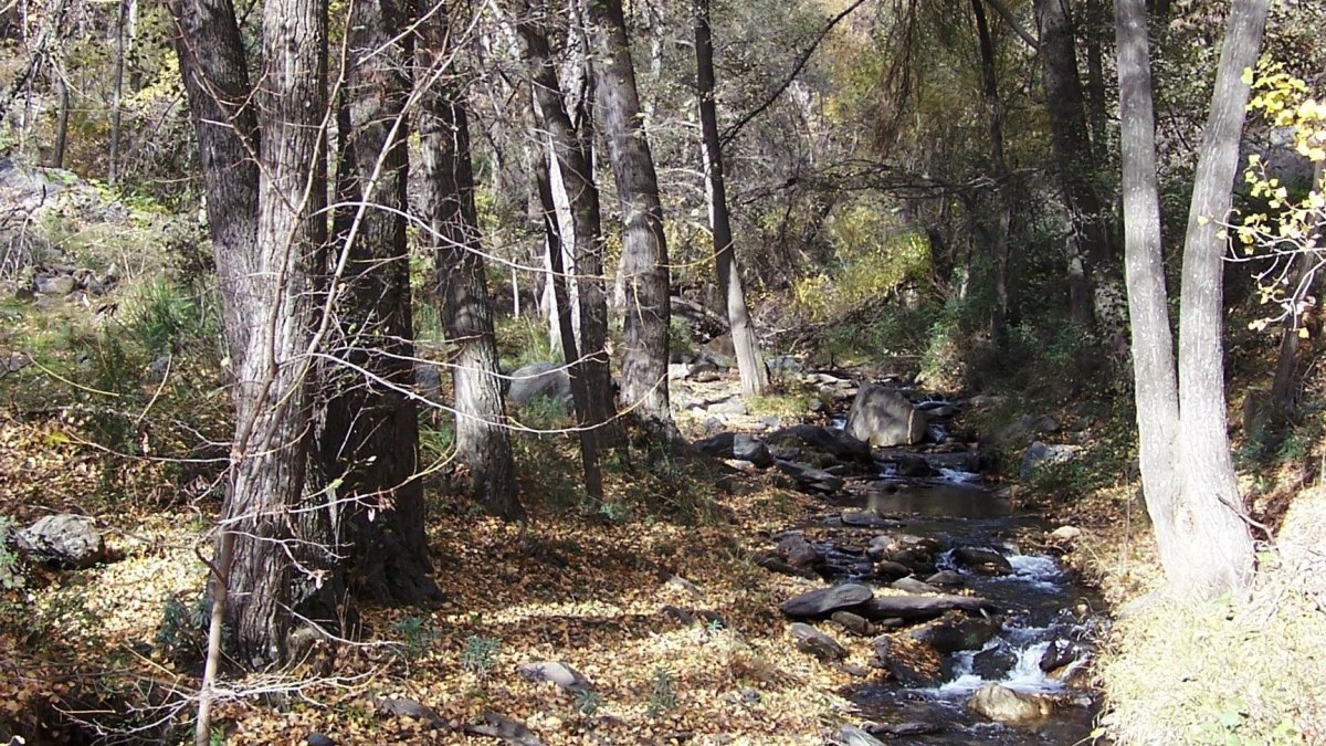 Sendero de la Hidroeléctrica, en Laujar de Andarax.