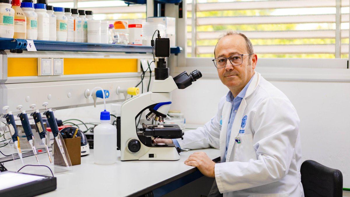 José Antonio Garrido.