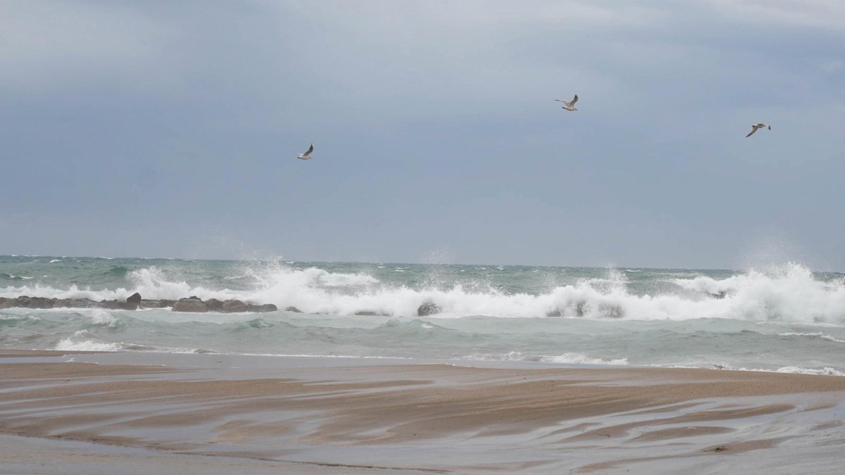 Una jornada de viento en la capital almeriense.