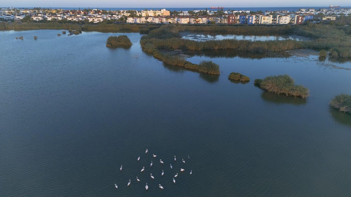 Salar de los Canos de Vera.