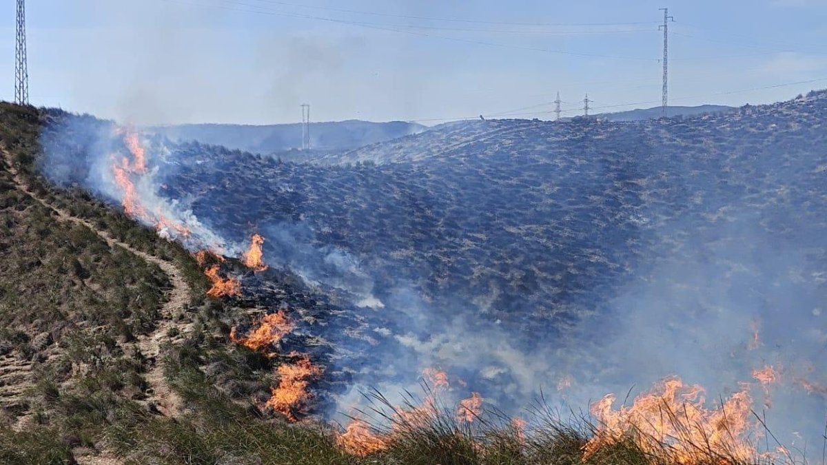 Incendio declarado en el municipio de Carboneras esta mañana.