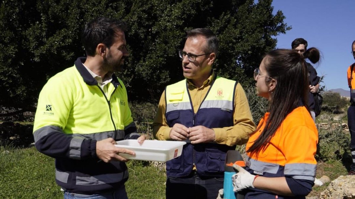 Inicio de la intensificación de la campaña contra los mosquitos