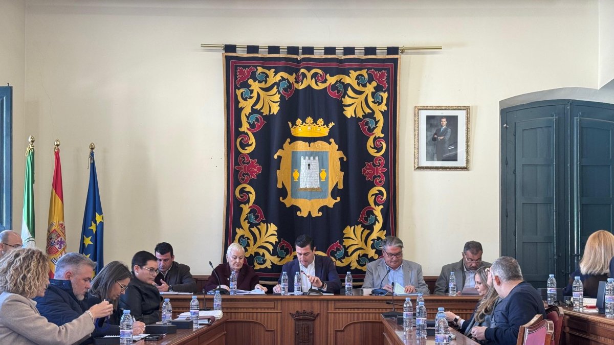 Imagen del pleno en el Ayuntamiento de Níjar.