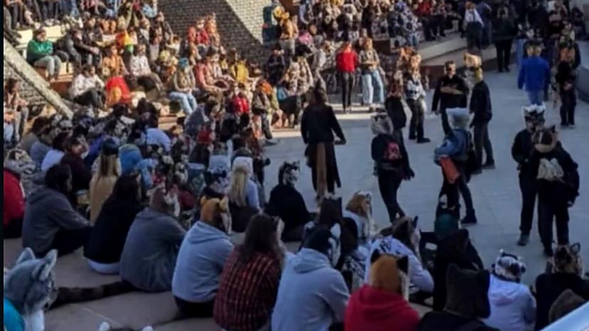 Imagen falsa compartida en redes sociales sobre la supuesta quedada de therian ayer en Almería.