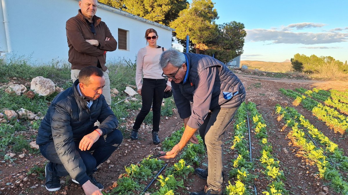 El subdelegado del Gobierno en Almería, José María Martín, en una visita a Cuevas.
