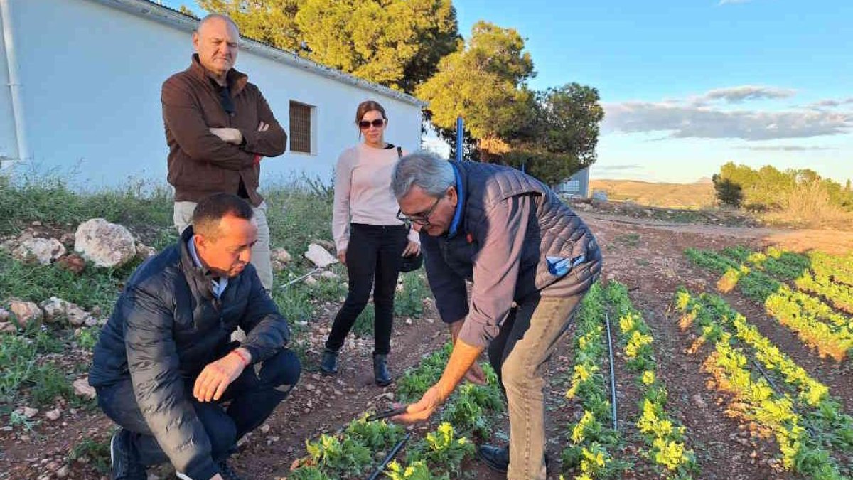 El subdelegado explica que el texto normativo constituye una respuesta integral del Gobierno de España ante una situación de emergencia