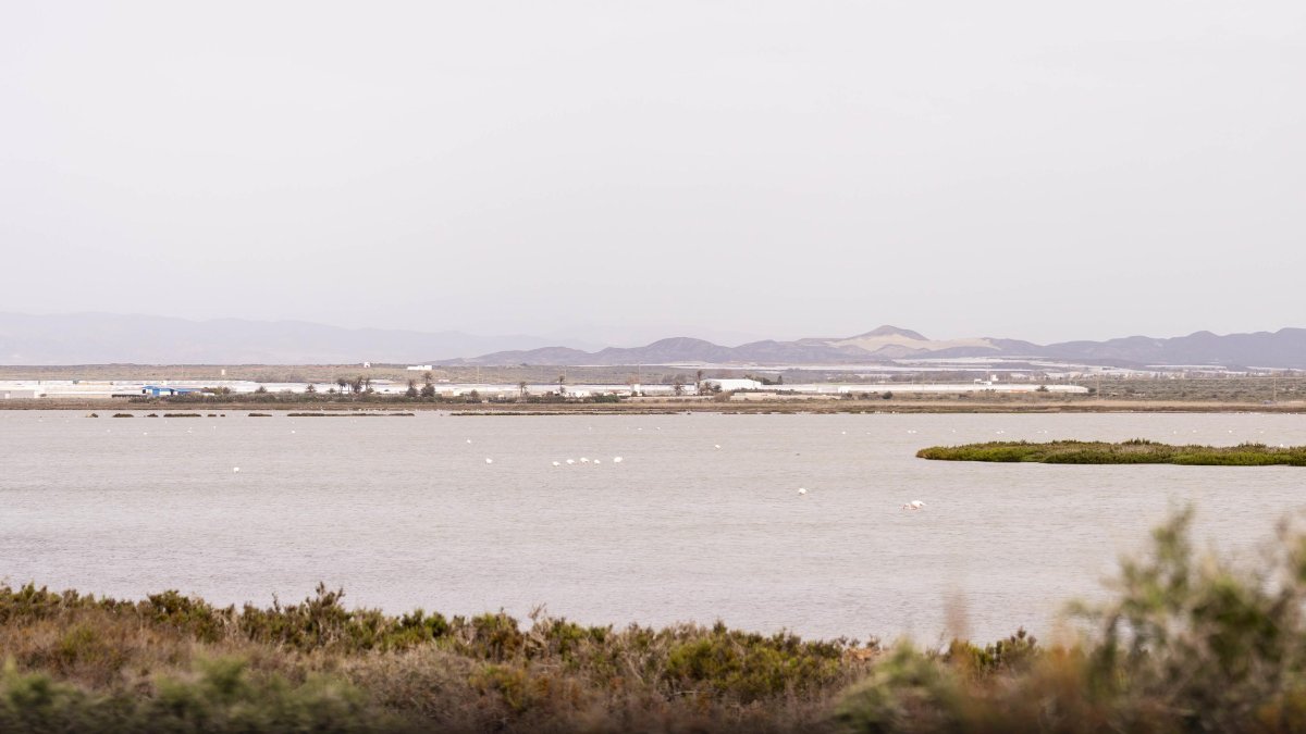 Archivo - Imagen del paraje de las Salinas de Cabo de Gata.