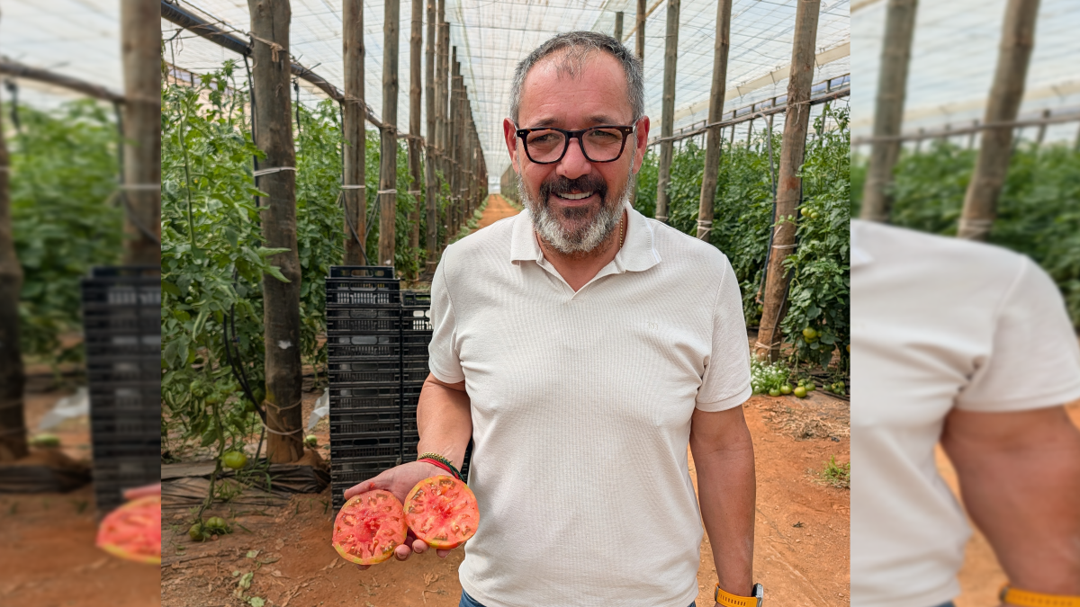 Diego Frías, gerente de Terra Agronómica con un tomate rosa de Almería.