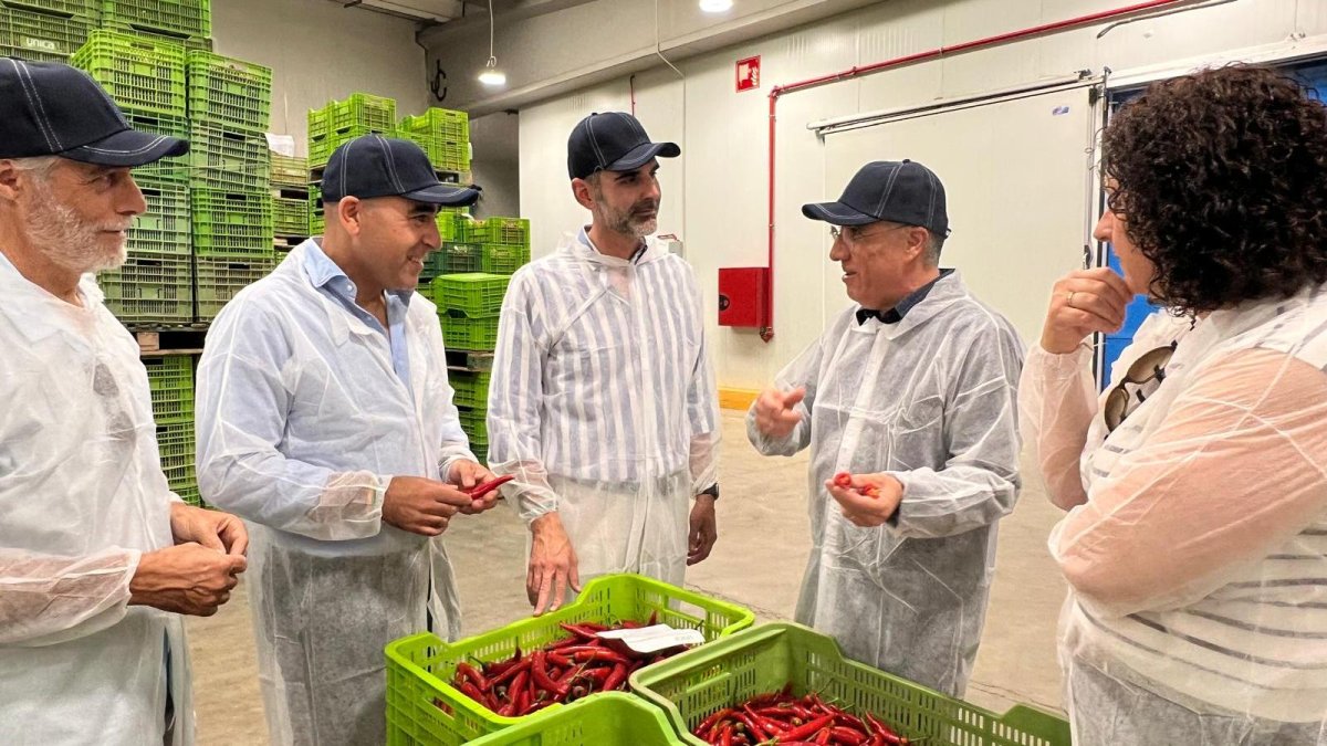 Fernández-Pacheco visita la cooperativa Cabasc en Balanegra (Almería)