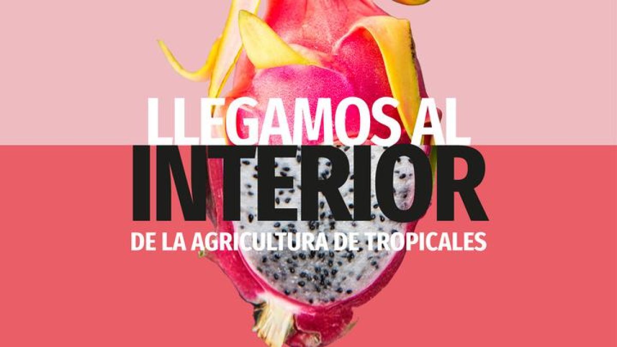 Innovación y transferencia en el sector agroalimentario de la mano de Cooperativa La Palma y Caja Rural de Granada en el 4º Congreso “Agricultura con propósito” de Tropicales