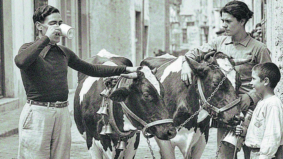 La calle Marco o de las posadas en el verano de 1936. El lechero ambulante, con su hijo y dos vacas, servía la leche recién ordeñada a los clientes.