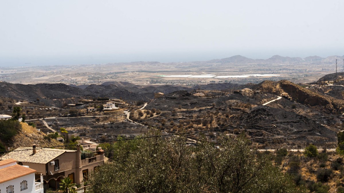Vista general de los terrenos afectados por el incendio