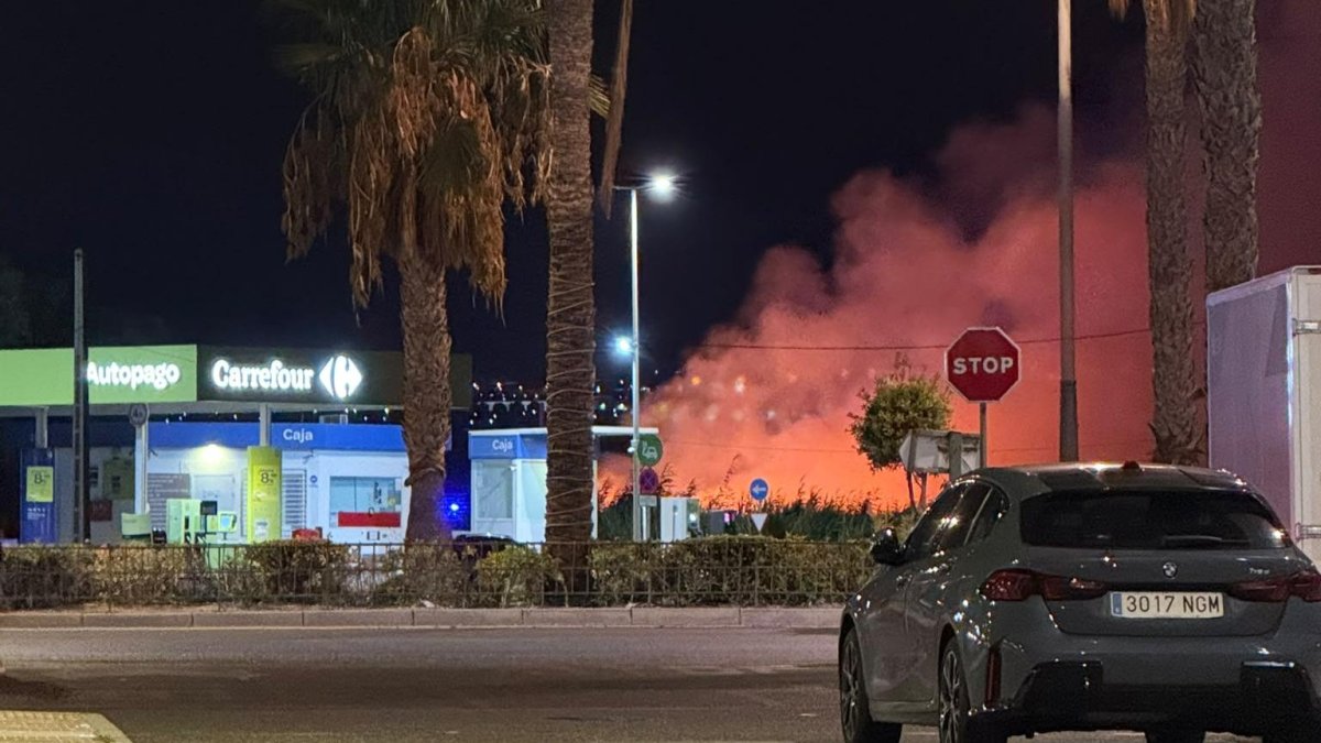 Imagen del incendio en Roquetas.