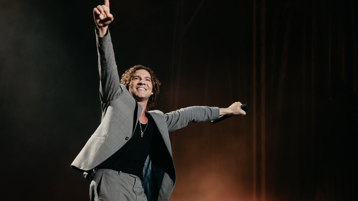 David Bisbal durante su último concierto en Almería, en la edición de este verano de Cooltural Fest.