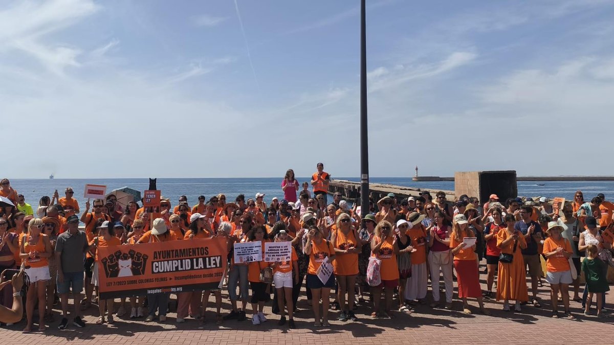 Marea naranja en el Paseo Marítimo por la gestión de las colonias felinas, en imágenes