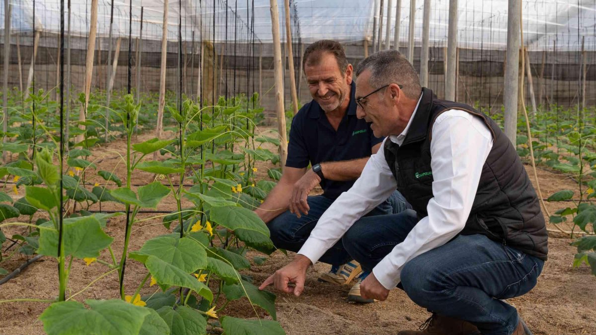 La cooperativa destaca el esfuerzo, la capacidad de innovación y la dedicación de los profesionales del campo y en especial de sus más de 3.700 socios