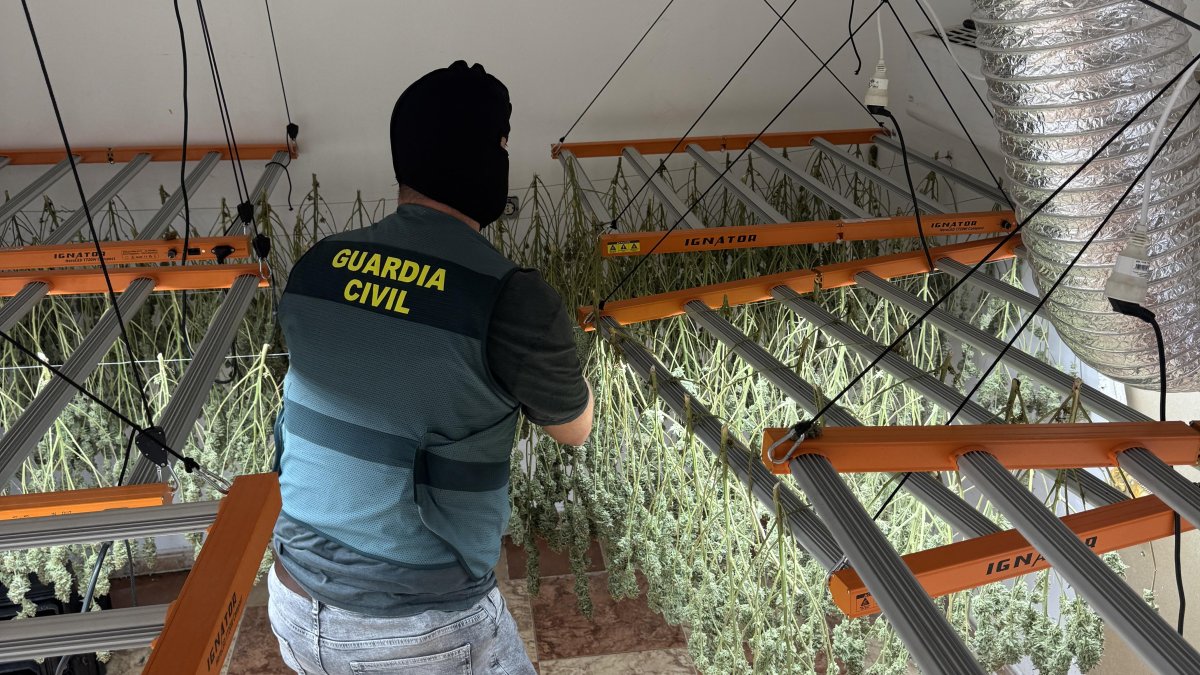 Agente de la Guardia Civil en una de las actuaciones llevadas a cabo.