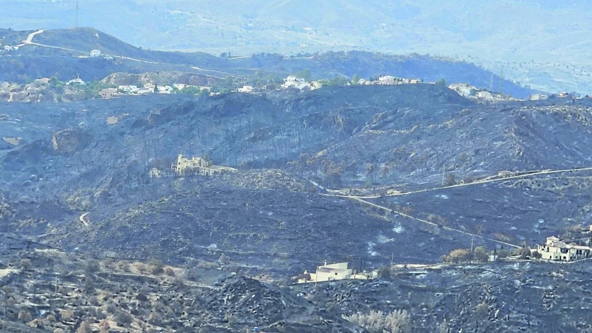 Terrenos calcinados por el incendio de Bédar y Los Gallardos
