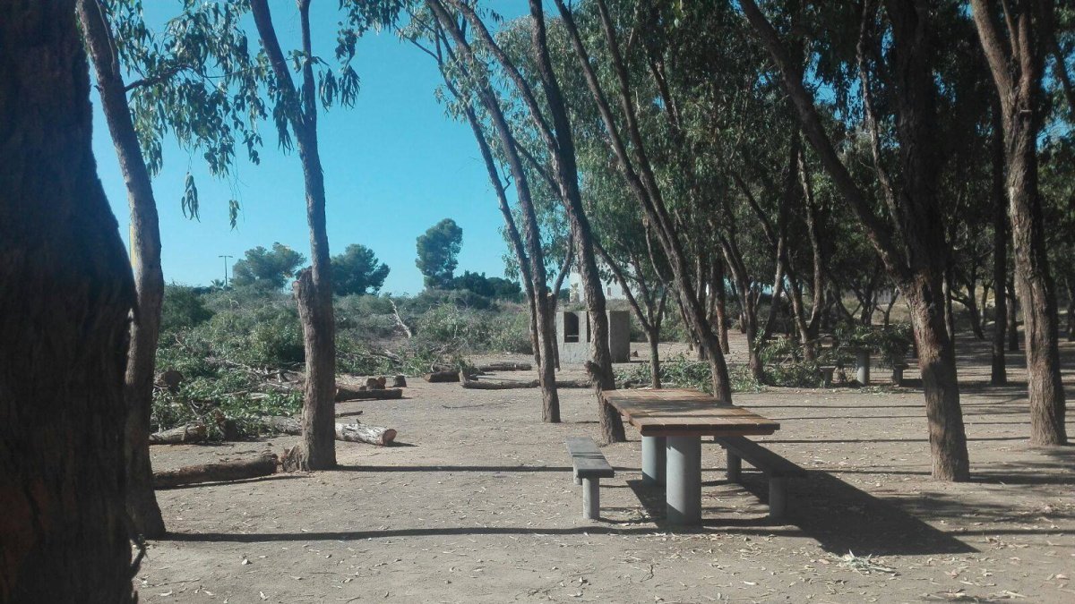 Merendero tras la tala en la parcela anexa.