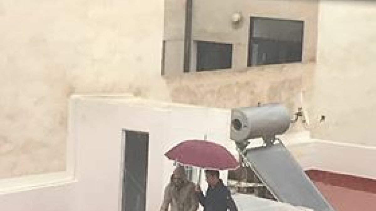 Saecios bajo la lluvia.