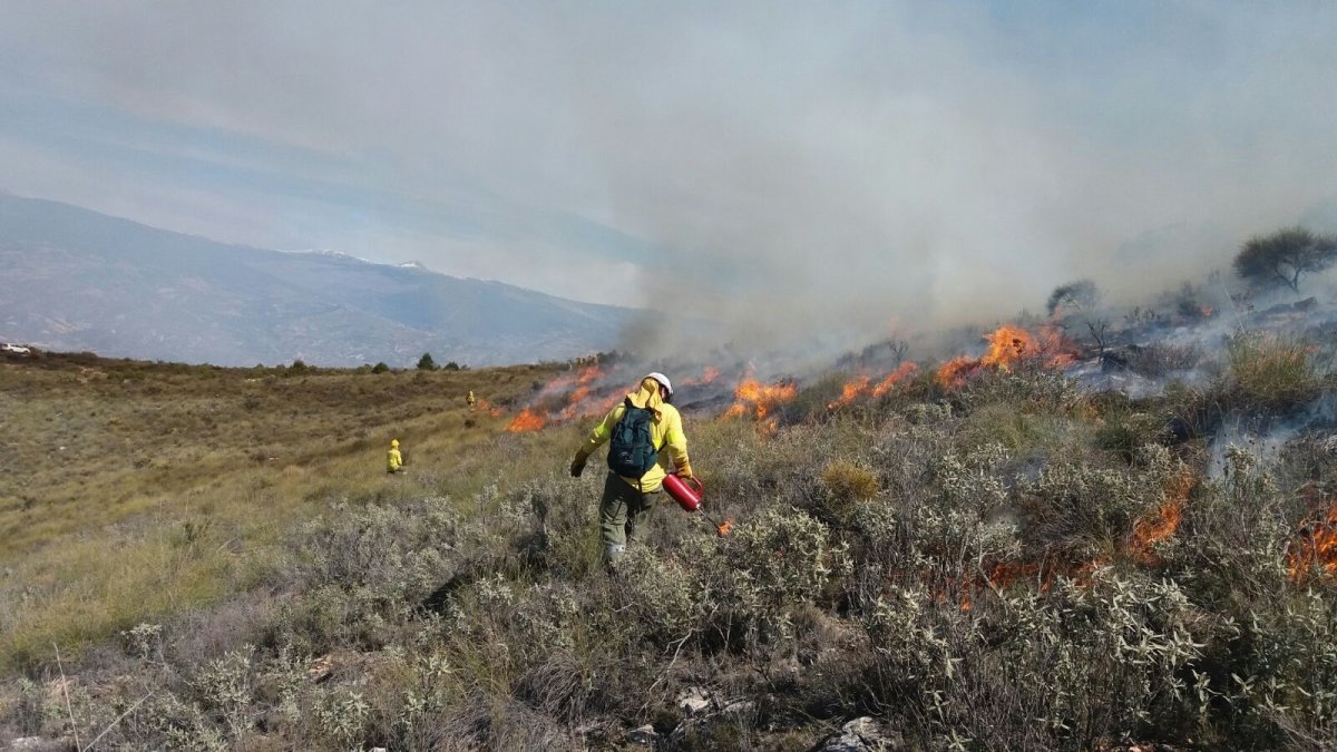 Bomberos Forestales durante una quema controlada en un espacio abierto de montaña.