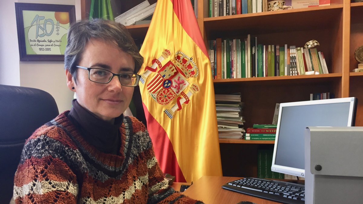 Teresa García, presidenta del Coitaal.