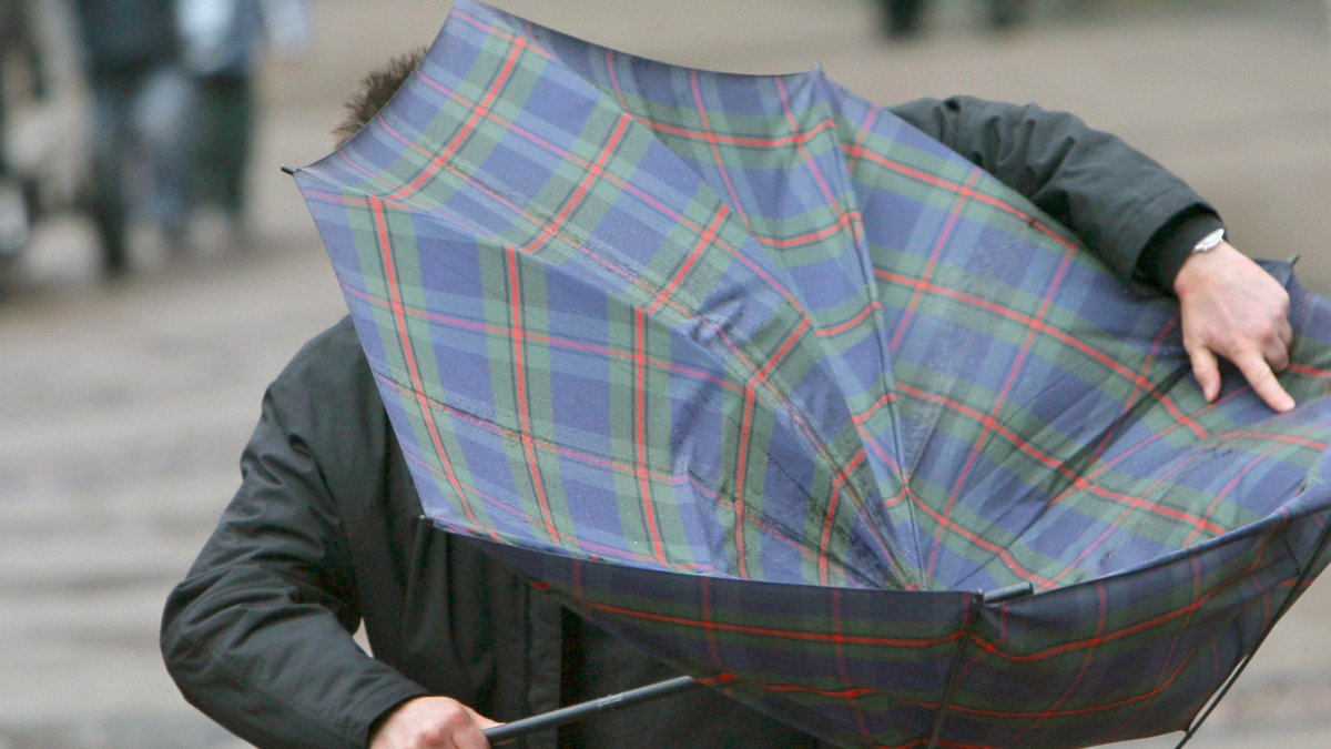 Alerta amarilla por viento mañana.