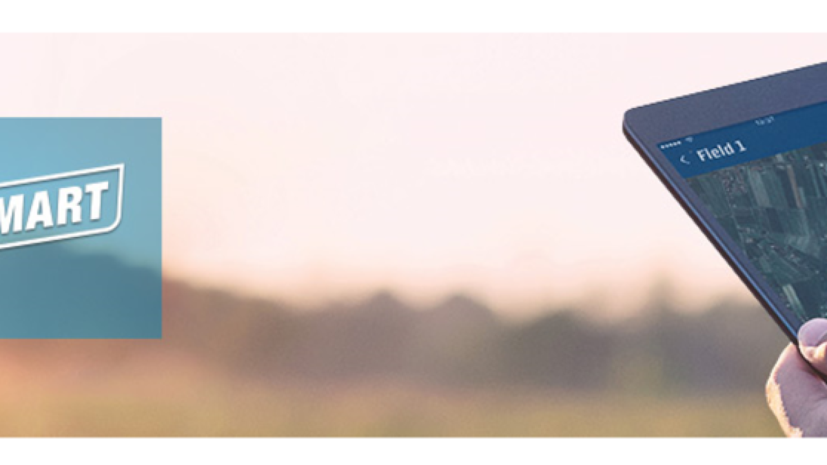 Banner publicitario de Dekalb Smart.