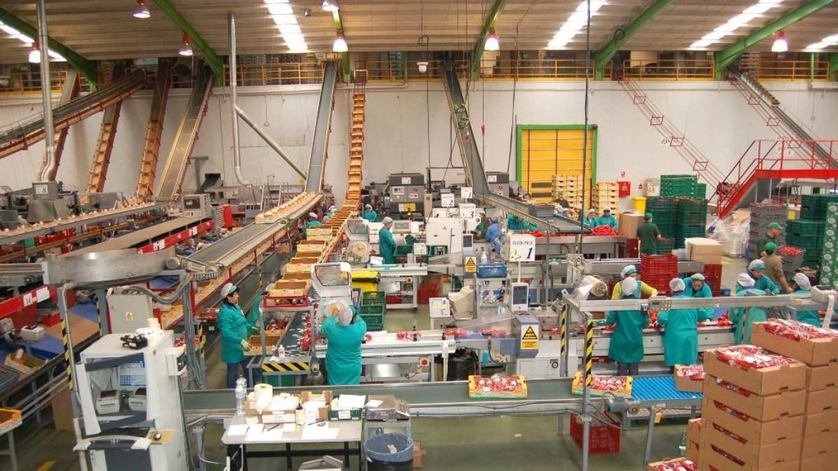 El manipulado hortofrutícola, motor de empleo en la provincia