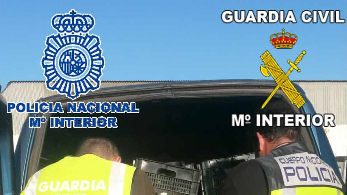 Momento de la intervención policial.