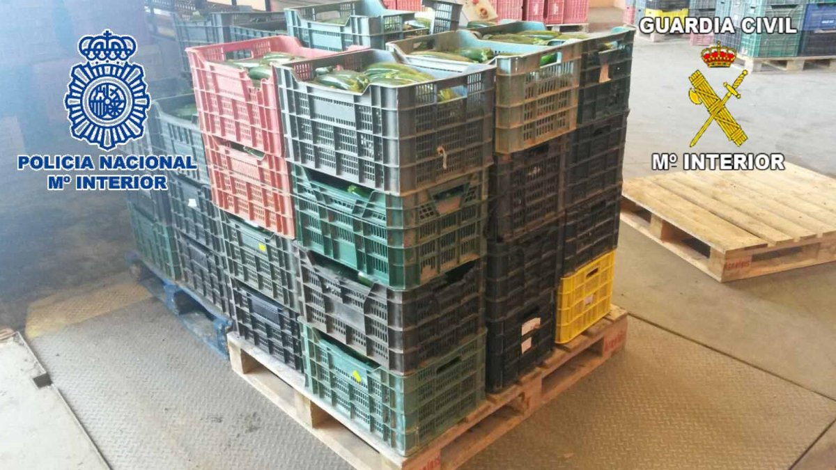 Hortalizas decomisadas en la operación