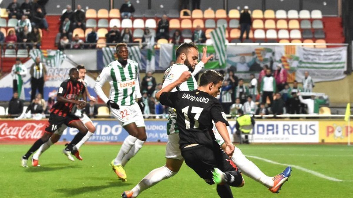 David Haro en el partido Reus 1-2 Córdoba.