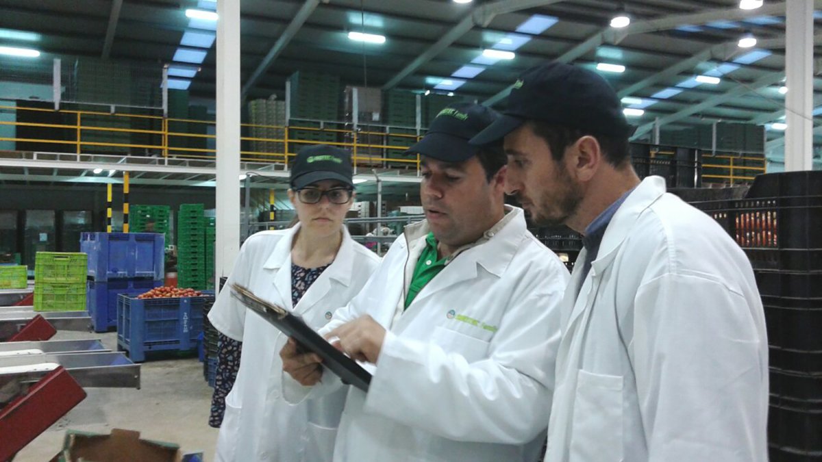 Técnicos supervisando el estado de productos ecológicos en una planta de almacenaje hortofrutícola.