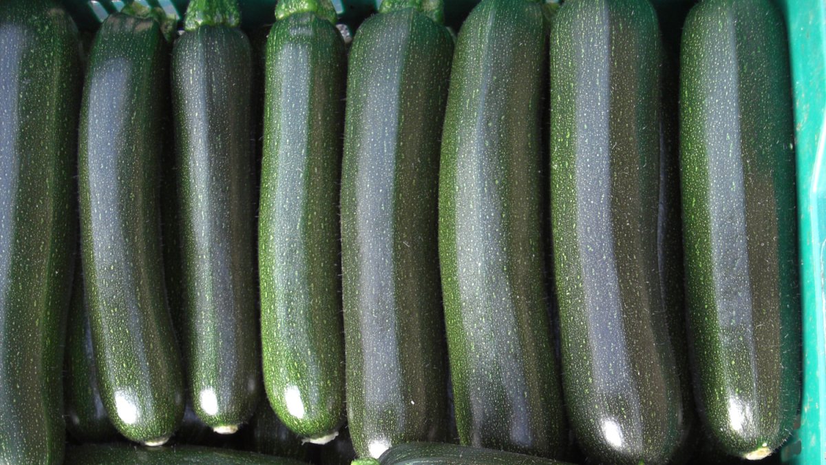 La escasez de calabacín en Europa está provocando unas cotizaciones históricas en las pizarras de la provincia.