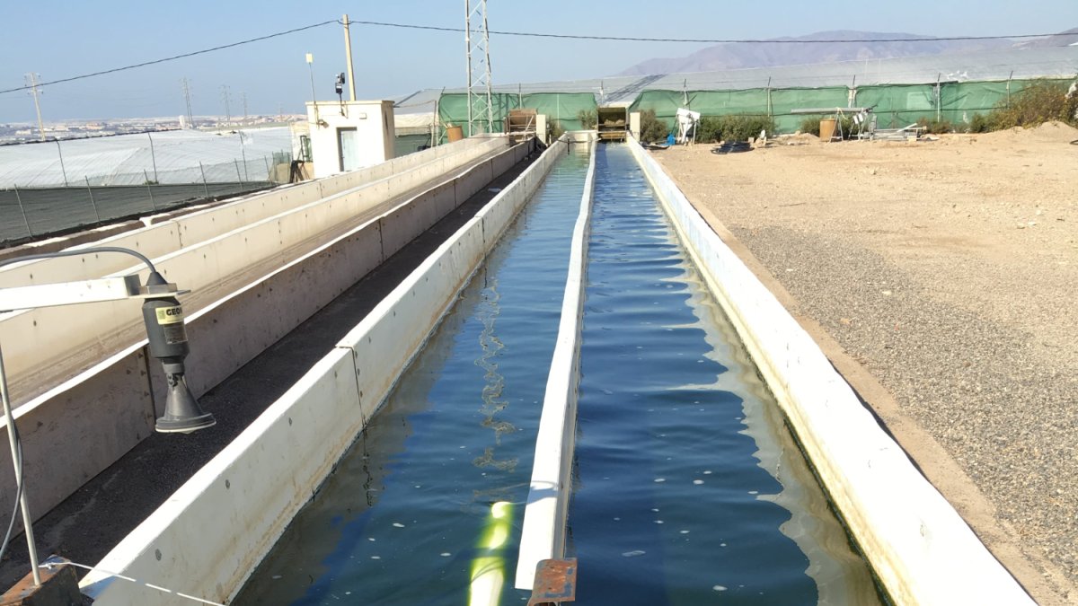 Raceway de producción de microalgas, una de las partes para convertir biomasa en fertilizantes.