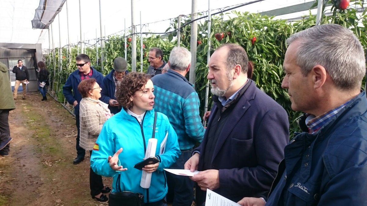 José Manuel Ortiz Bono, delegado de Agricultura, visitando el pasado miércoles un invernadero de pimiento en Dalías.