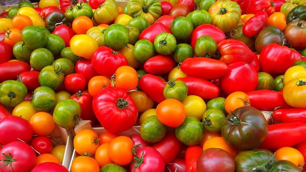 El marketing de productos agroalimentarios es una herramienta poderosa de cara a la comercialización de alimentos.