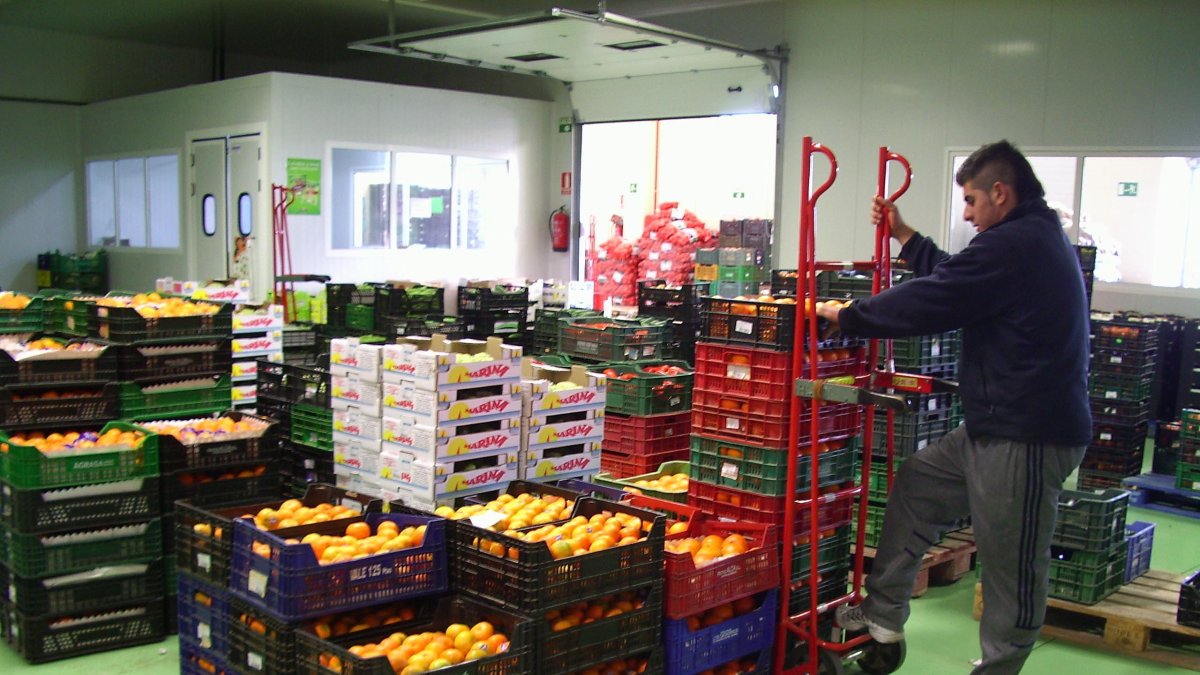 El ritmo productivo no se ha acelerado por lo que extraña en el sector la bajada de precios.