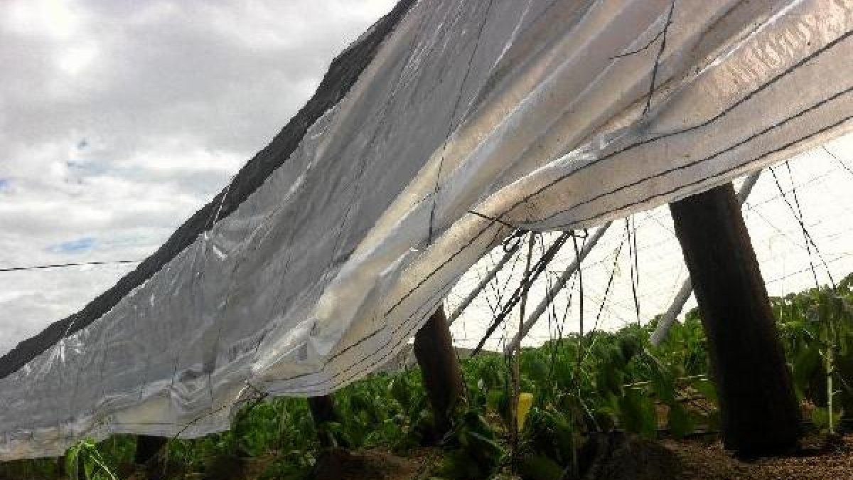 Imagen de archivo de una finca en Níjar donde se efectuaron robos.