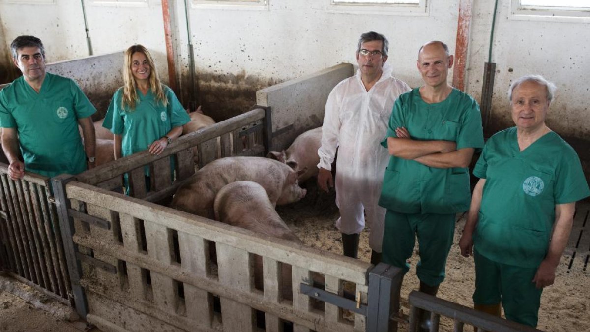 Jerónimo Lajara (primero por la izquierda) con el equipo de investigadores dirigido por Juan Carlos Izpisua. Imagen cedida por UCAM