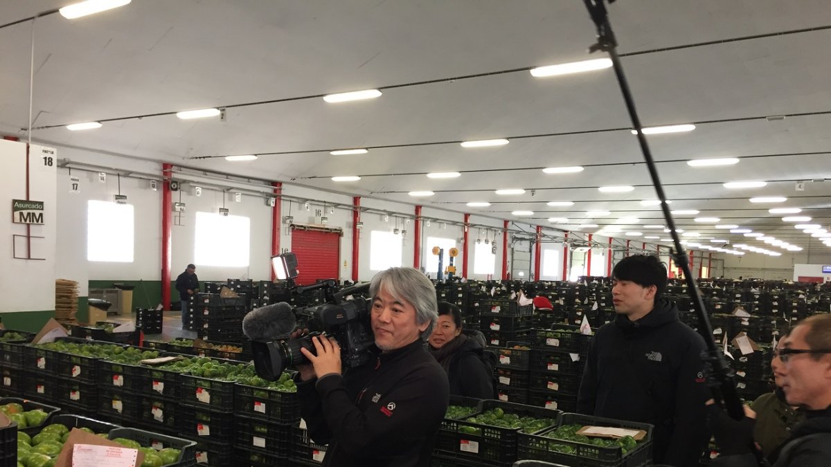 Los reporteros de NHK, la televisión japonesa, en las instalaciones de Agrupalmería.