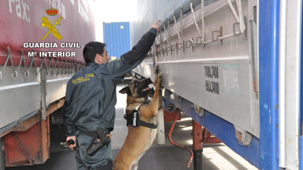 Servicio Cinológico de la Guardia Civil en el Puerto de Almería