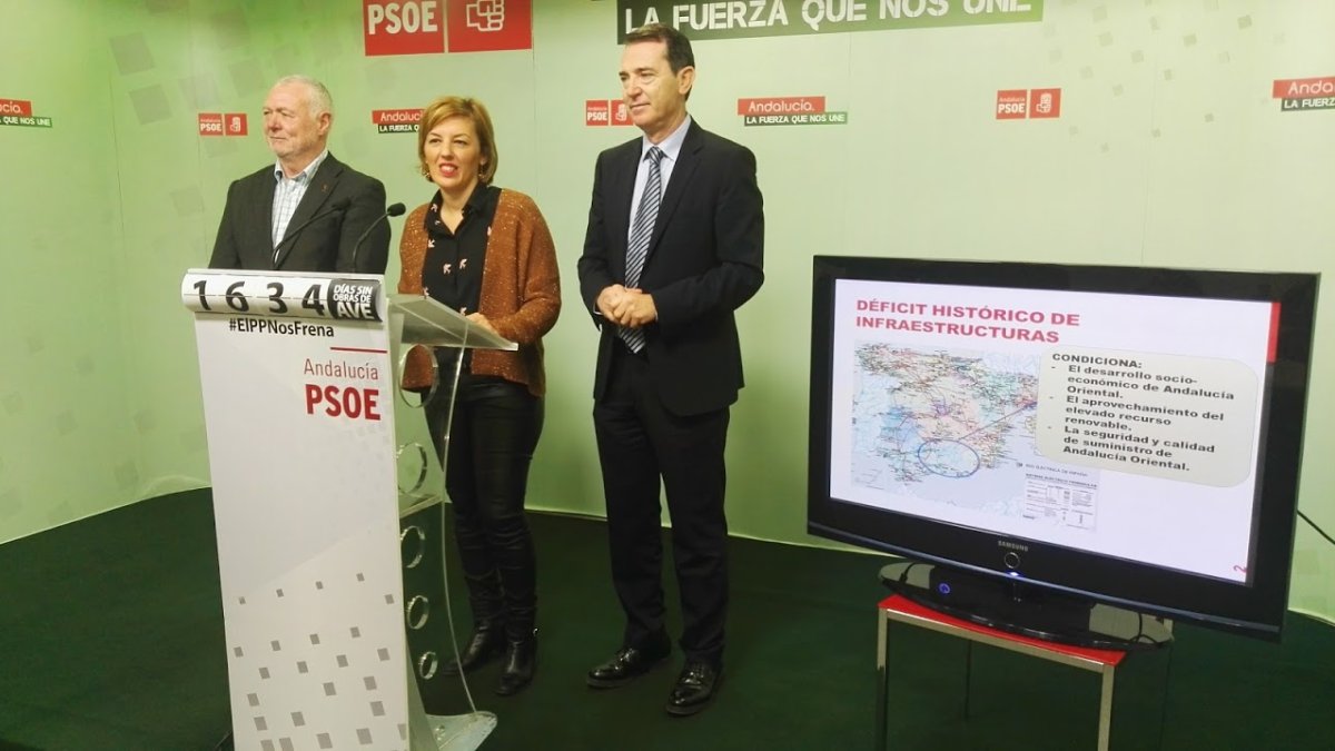 Comparecencia de los parlamentarios socialistas en Madrid.