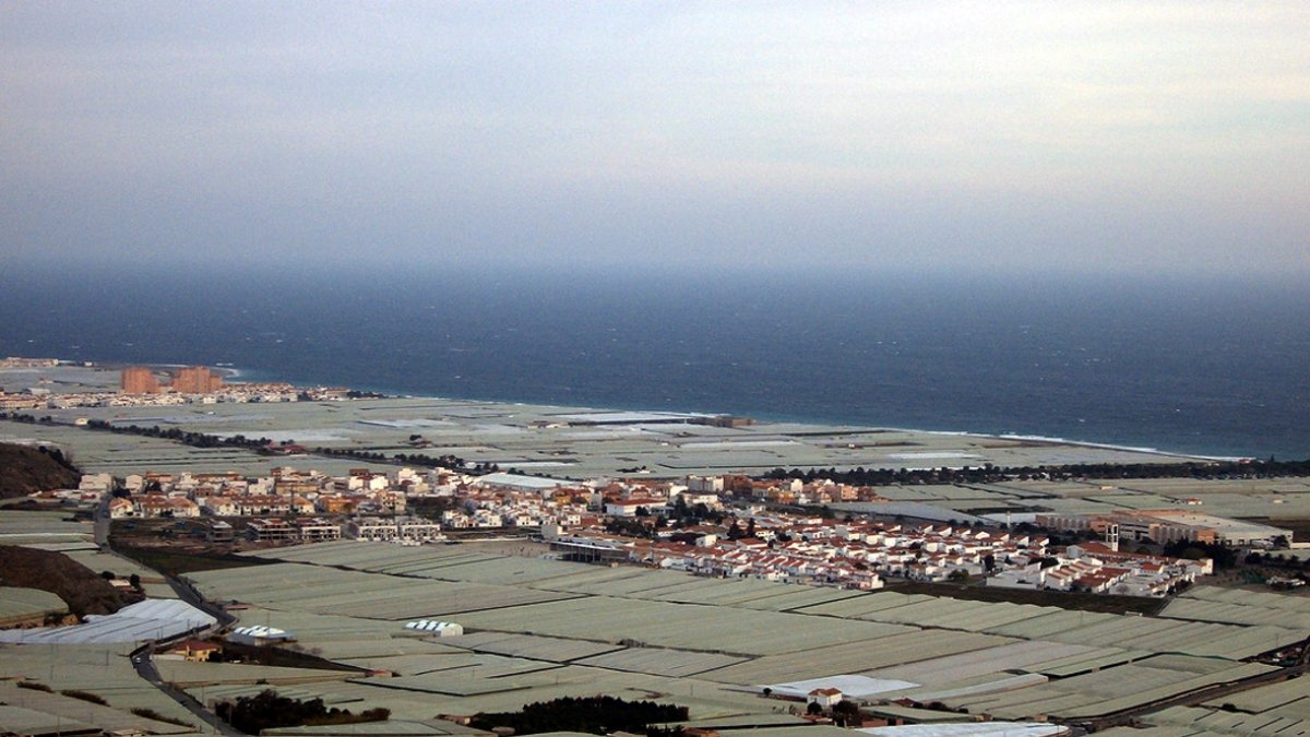 Llanos de Carchuna, donde medran los invernaderos hortofrutícolas y donde operan con centros propios varias empresas almerienses.