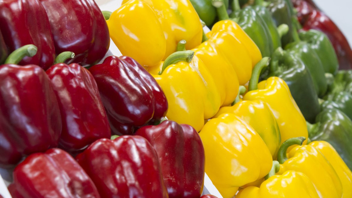Las frutas y hortalizas almerienses buscan penetrar nuevos mercados, quizás en formatos y elaboraciones distintas a las tradicionales.