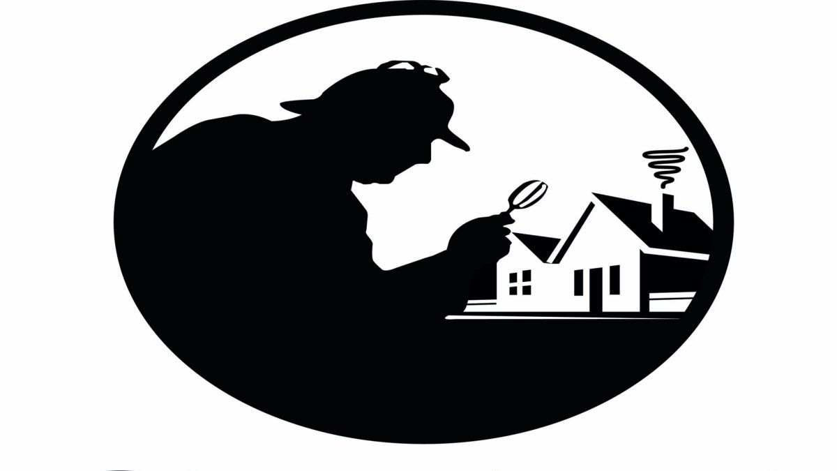 La web www.soysherlockhomes.com es novedad en el sector.