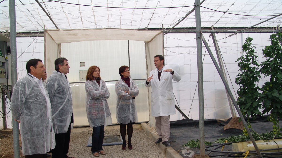 La Estación Experimental de Cajamar es un centro donde se testan las nuevas variedades de producto que luego serán comercializadas.